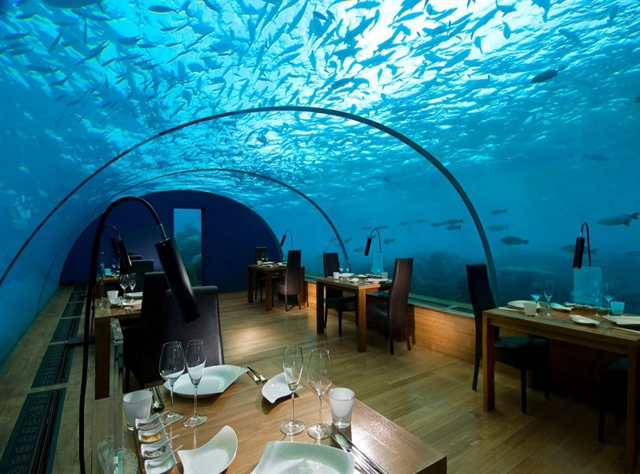 Ithaa-Restaurant4 از عجیب ترین رستوران های جهان