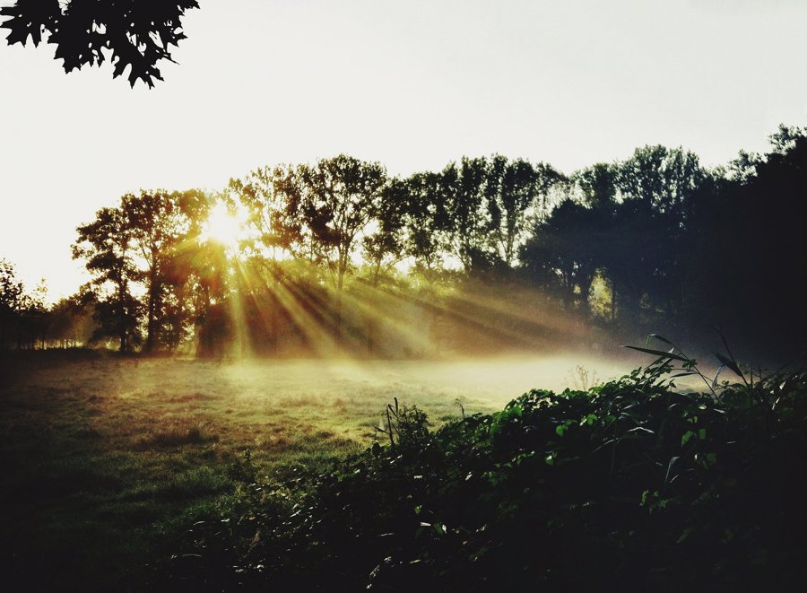 درک نور در عکاسی