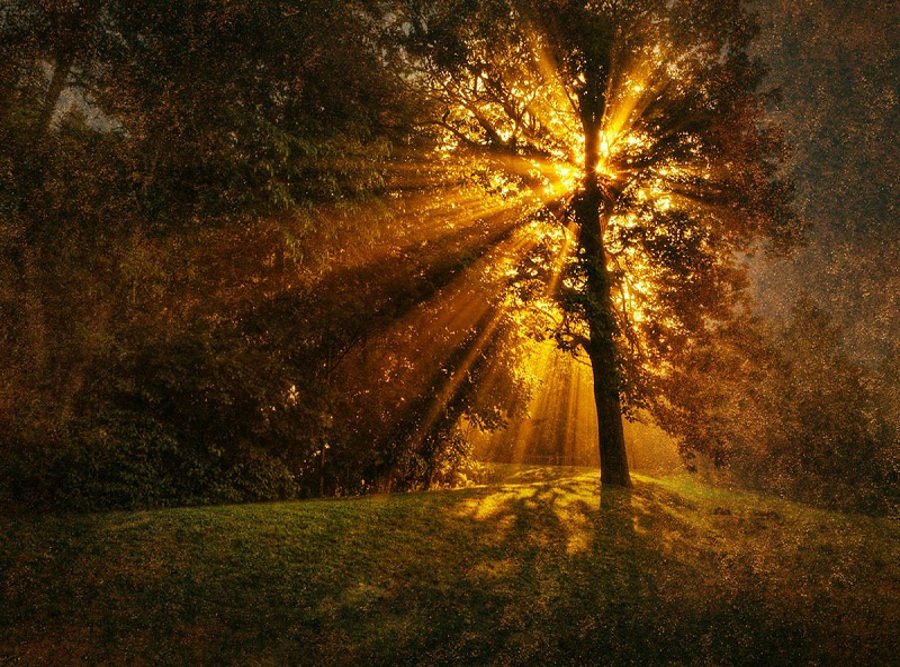 نور در عکاسی