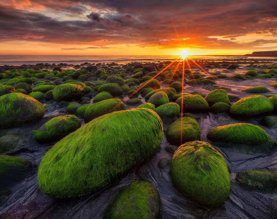 راهنمای عکاسی با نور طبیعی