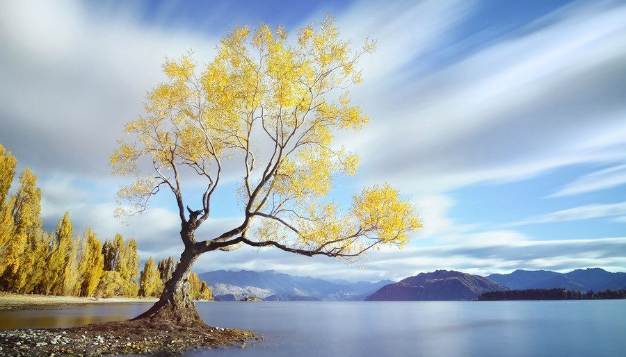 راهنمای عکاسی با نور طبیعی