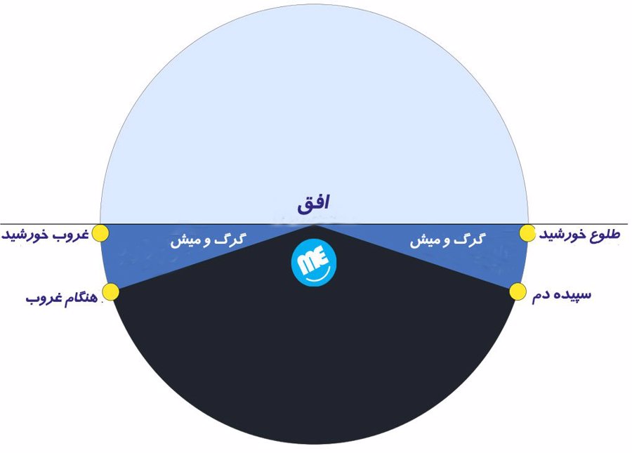 راهنمای عکاسی با نور طبیعی