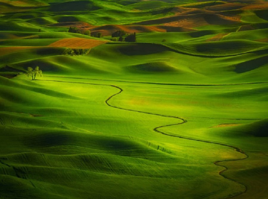تصویر: https://cdnblog.safarme.ir/Files/Post/15235/4534/w900/Top-10-Spring-Destinations-Washington-Photo-by-Miles-Morgan-740x469.jpg