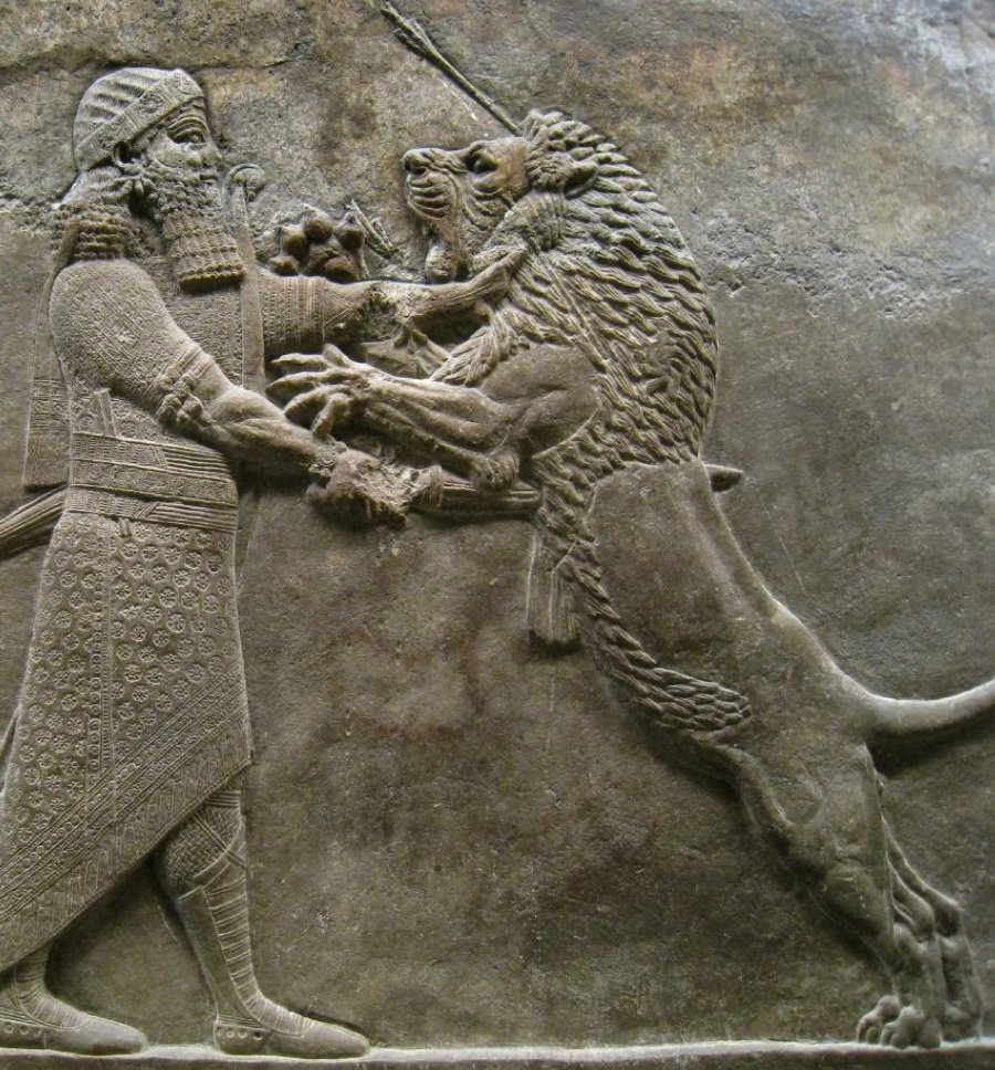 شاه شیر کش