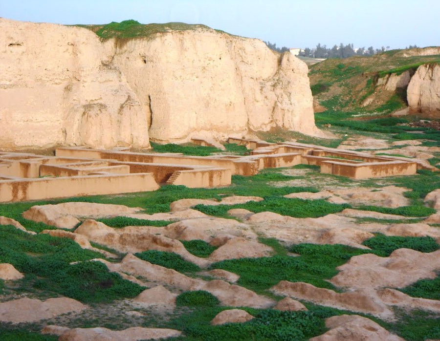 شهر شاهی