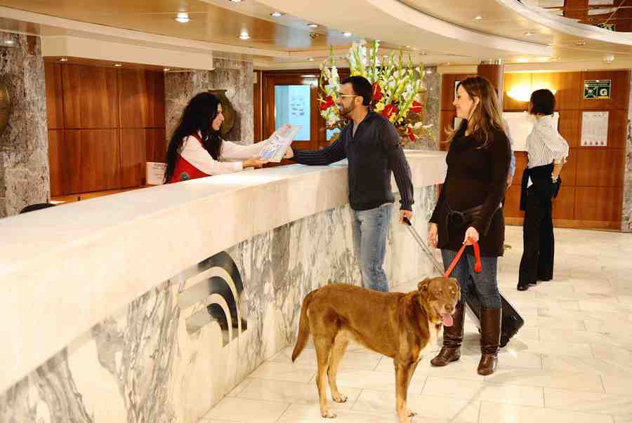 ورود با حیوانات اهلی