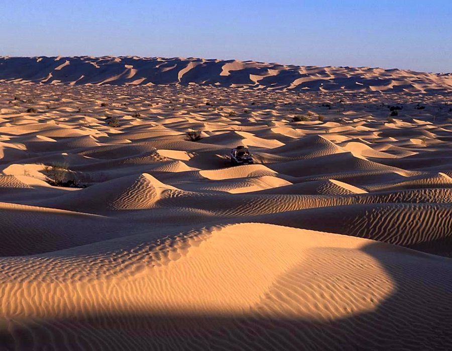 گردش در صحرا