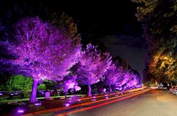 گذری در تاریخچه معروف ترین محله های تهران