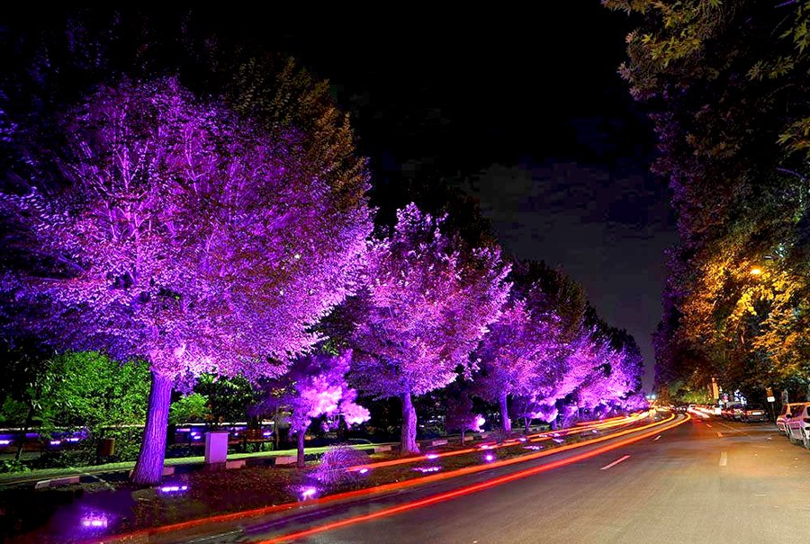 گذری در تاریخچه معروف ترین محله های تهران