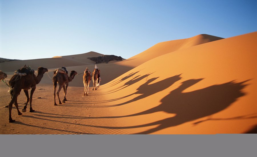 صحرای بزرگ آفریقا