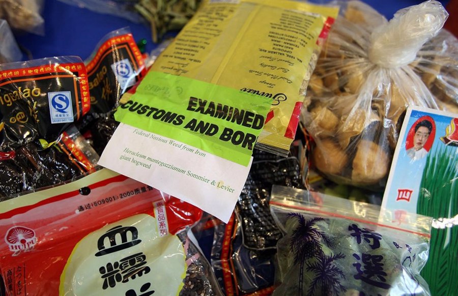 مواد غذایی فاسد شدنی