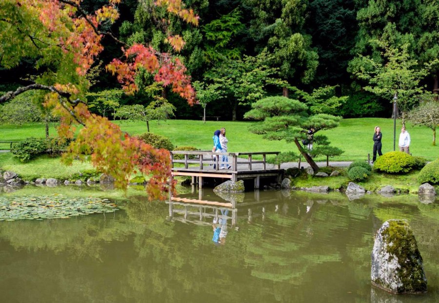 باغ ژاپنی تاشکند