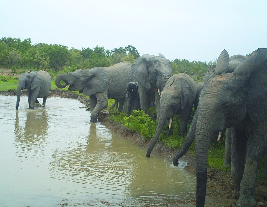 پارک Bangr Weogo