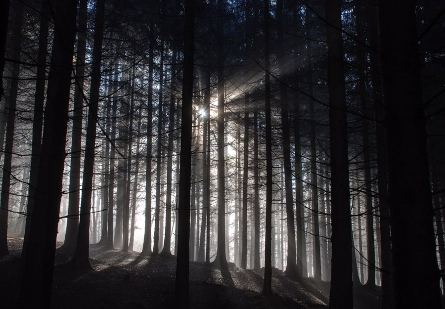 جنگل سیاه آلمان | Black Forest, Germany