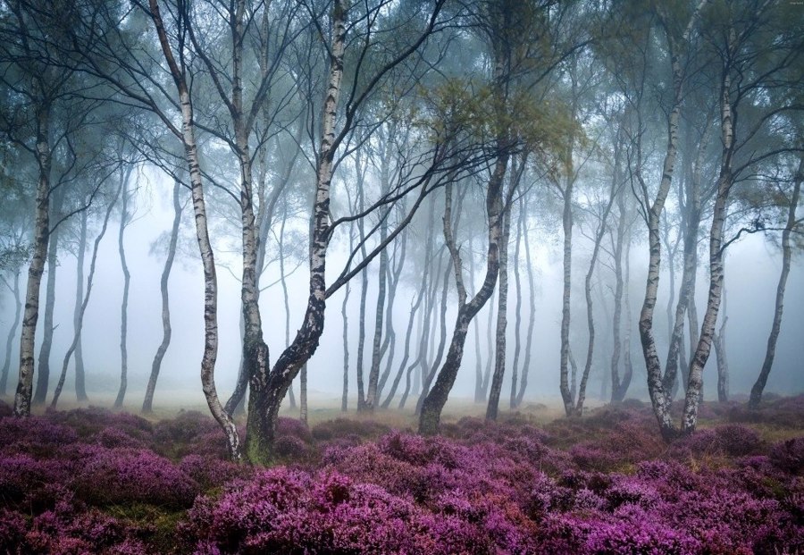 استانتون مور در بریتانیا | Stanton Moor, UK