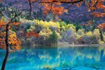 دریاچه آبی نیوزلند