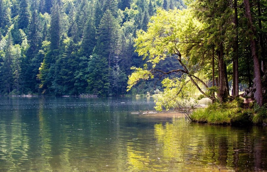 Trellis of Lake Toplitz