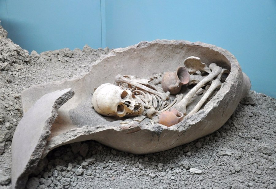 سالن Natural History موزه