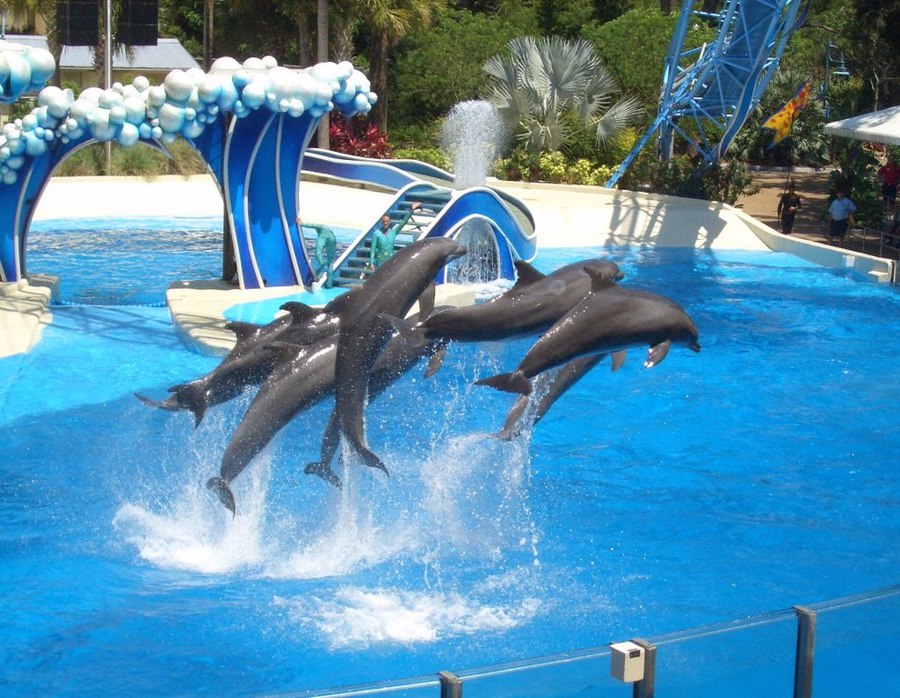 چرا پارک آبی آکوالند را انتخاب کنیم؟