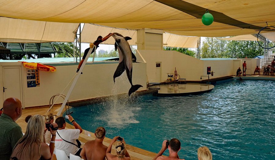 Aqualand Antalya Dolphinland