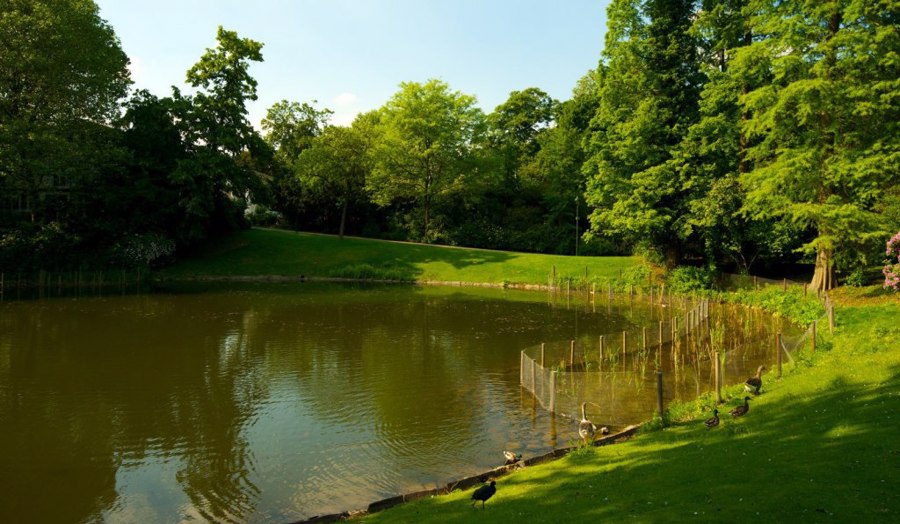 پارک هوف گارتن | Hofgarten