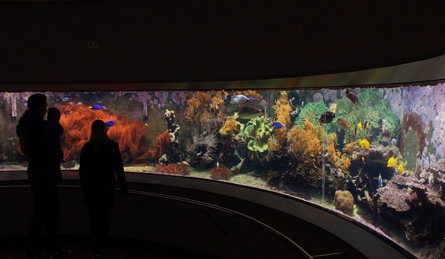 باغ وحش دریایی و موزه لوبک | Loebbecke-Museum und Aquazoo