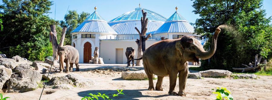 باغ وحش هلابرون | Hellabrunn zoo