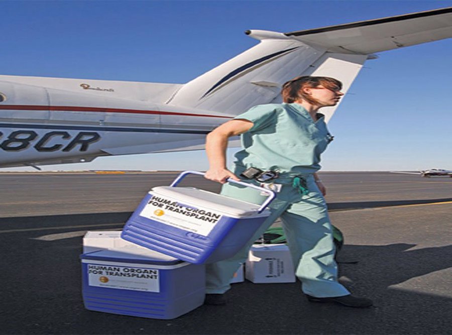 CARRYING HUMAN ORGANS.