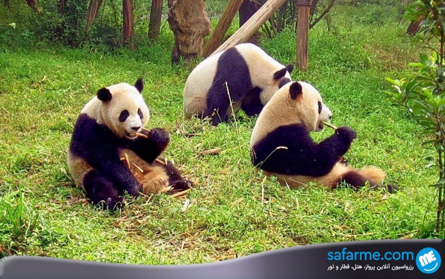 باغ وحش سنگاپور