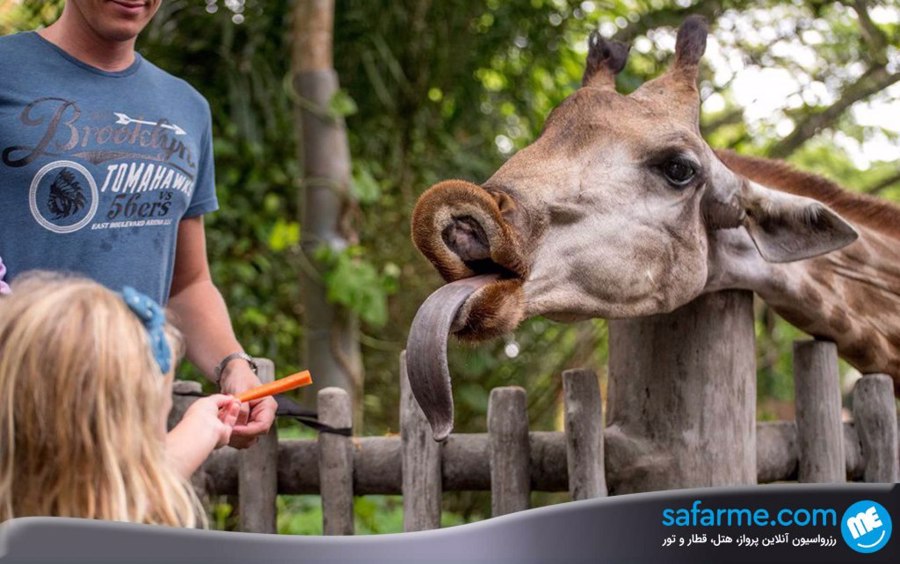 باغ وحش سنگاپور