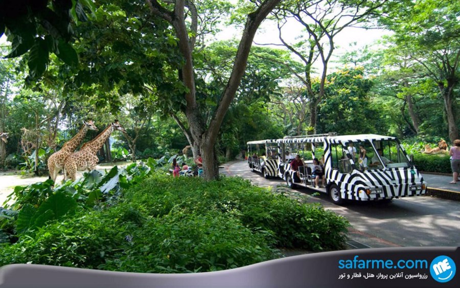 باغ وحش سنگاپور