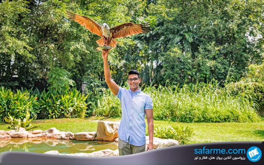 پارک پرندگان ژورانگ