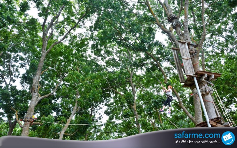 ماجراجویی در دل جنگل بدوک