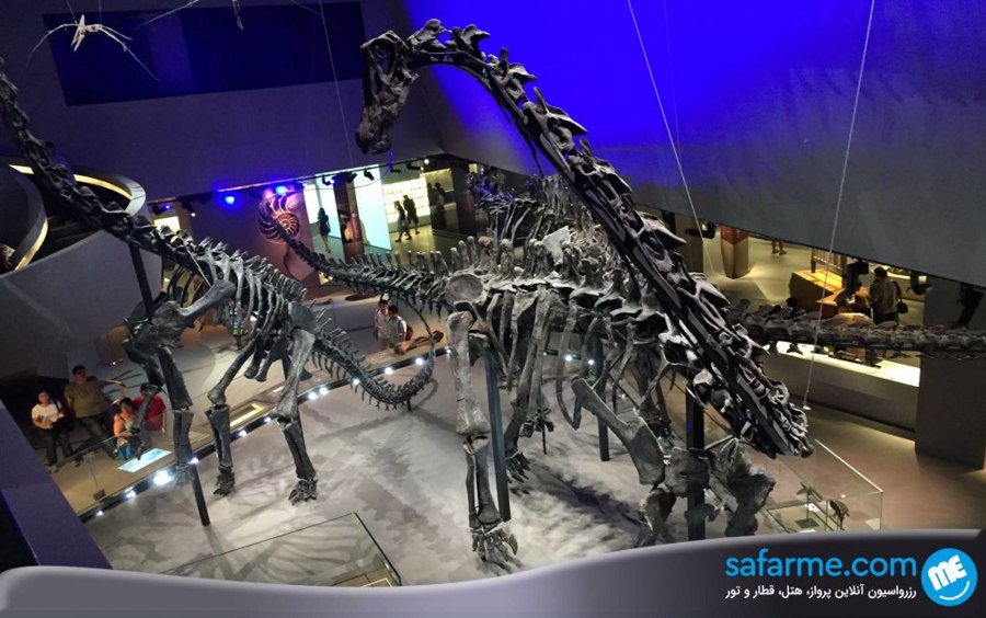 موزه تاریخ طبیعی لی کونگ چیان | Lee Kong Chian Natural History Museum
