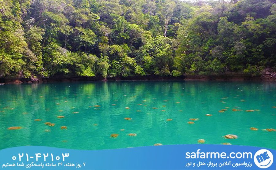 Jellyfish Lake