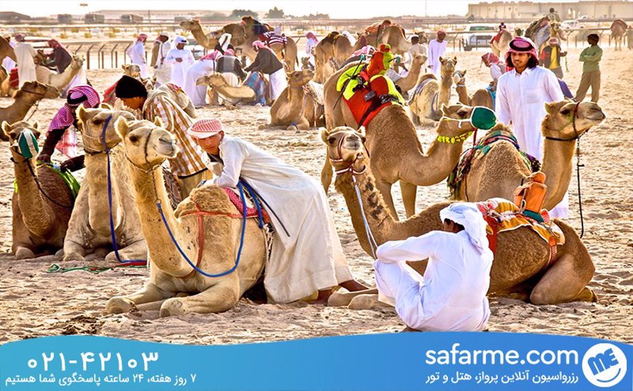 مسابقات_شتر_سواری___