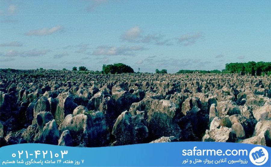 دیدنی های نائورو