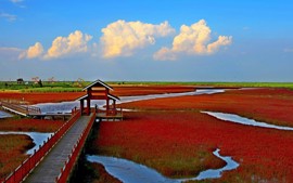 ساحل سرخ پانجین