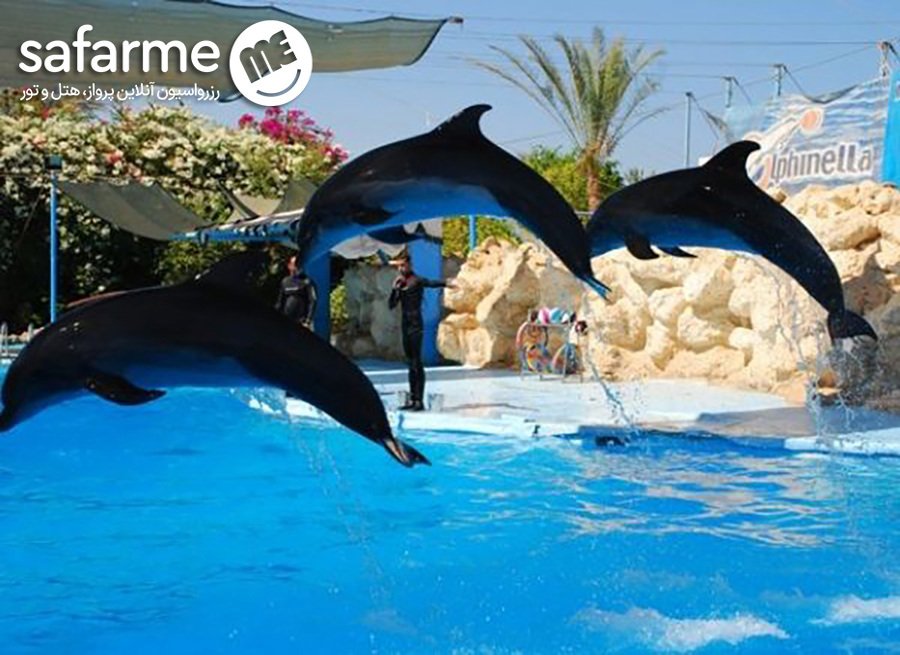 دلفیناریوم