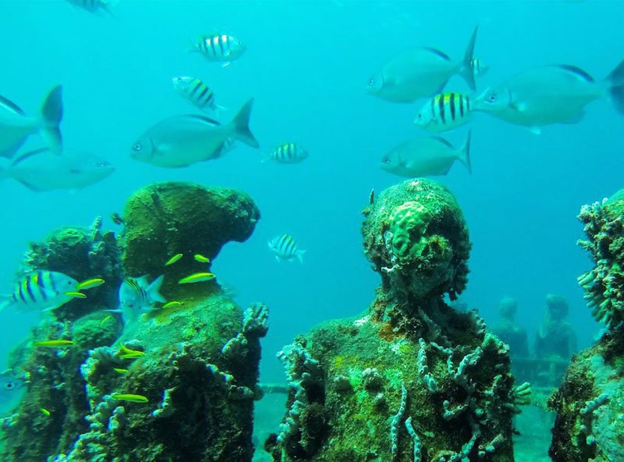 undersea 10