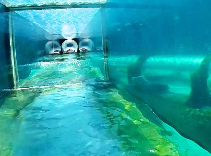 undersea 27