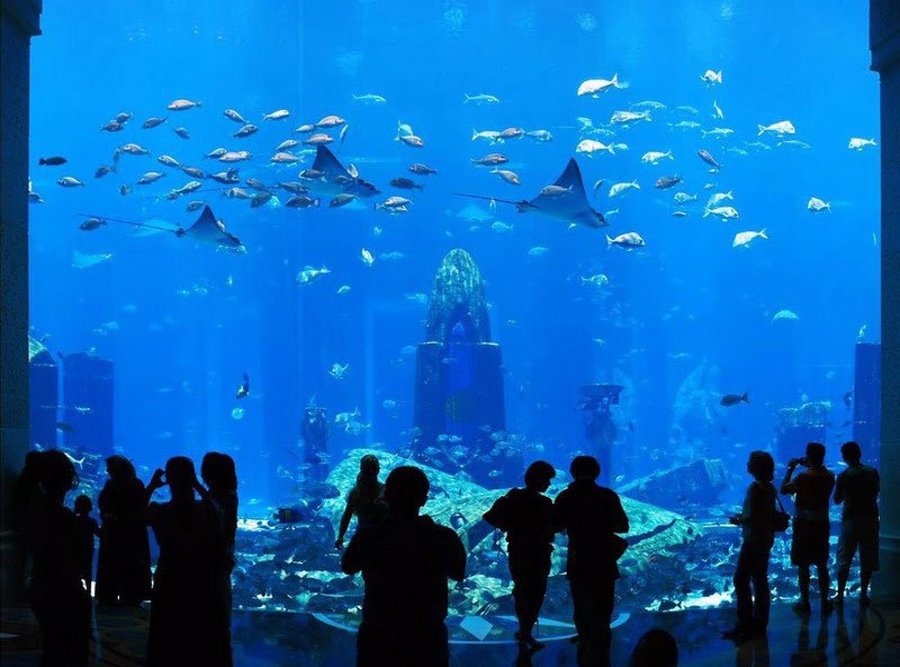 undersea 1