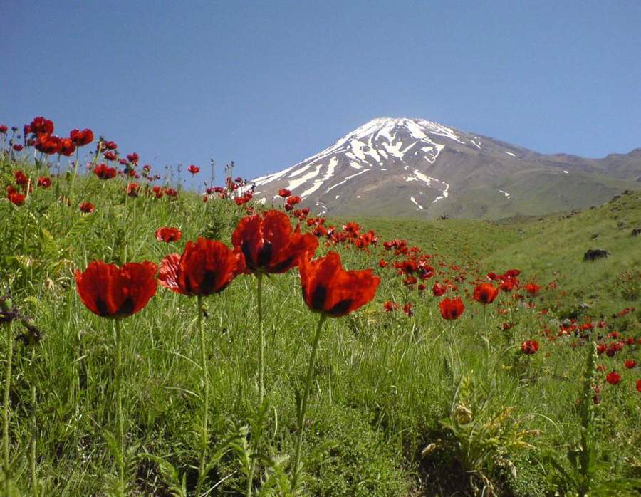 damavand