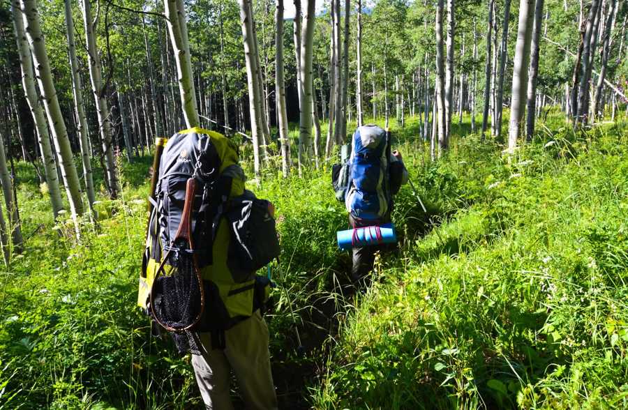 backpackers-in-jungle