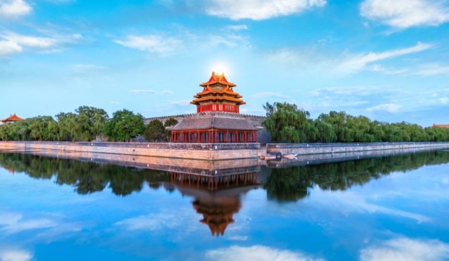 وسیع ترین مجموعه چوبی جهان