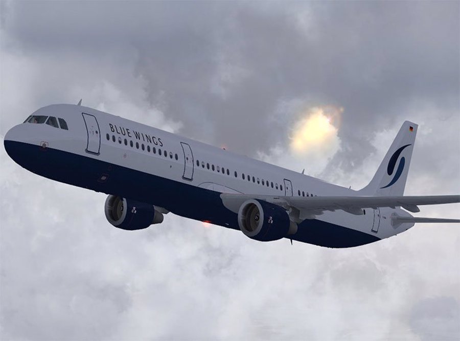 blue-wings2